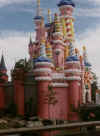 photo of magic kingdom, florida